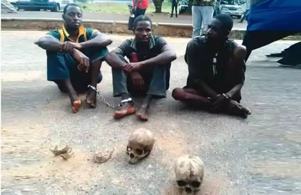 See herbalist who bought two human heads for N10,000 in Oyo